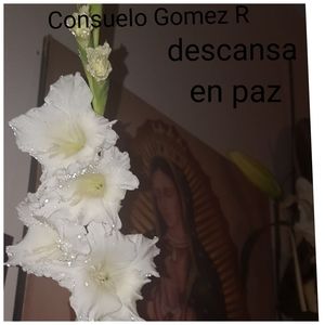 Meet your Posher, Melchor